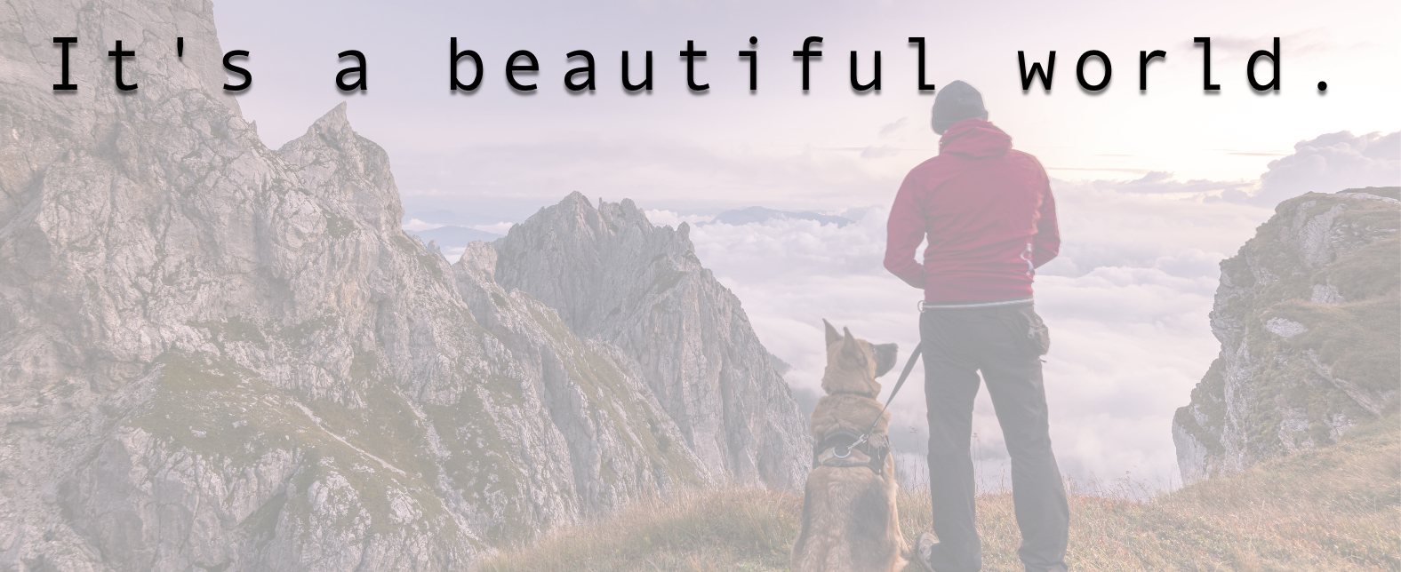 It's a beautiful world