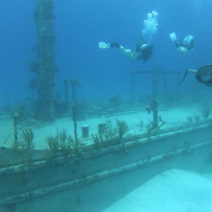 image-43